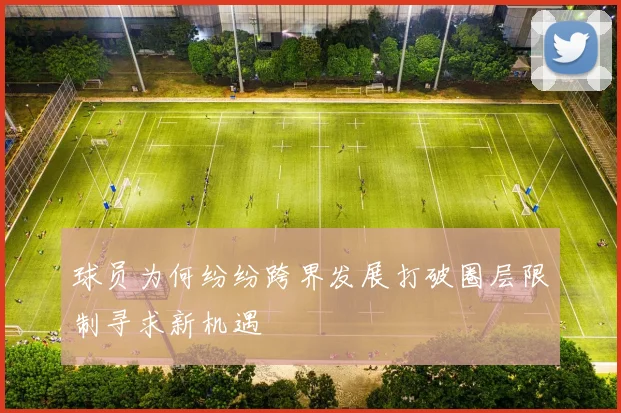 球员为何纷纷跨界发展打破圈层限制寻求新机遇