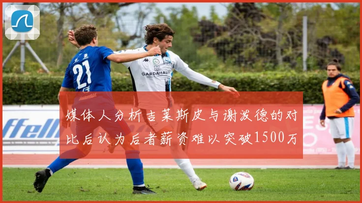 媒体人分析吉莱斯皮与谢泼德的对比后认为后者薪资难以突破1500万